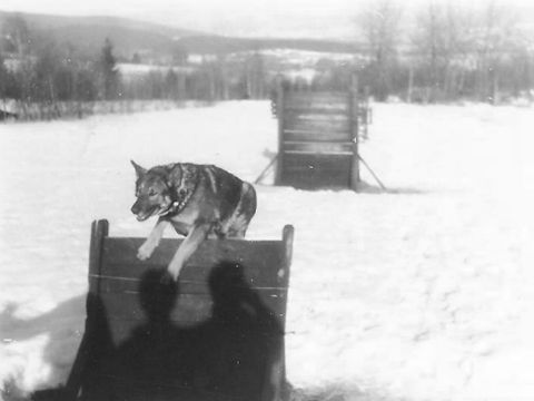 Foto 12